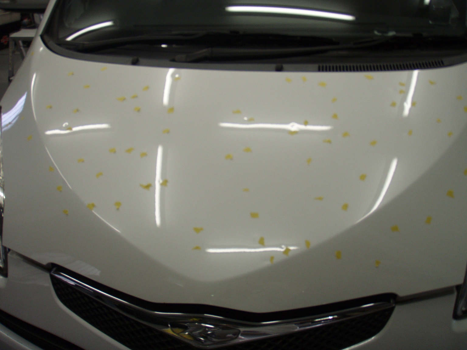 日産　フーガ　ひょう害車　リペア